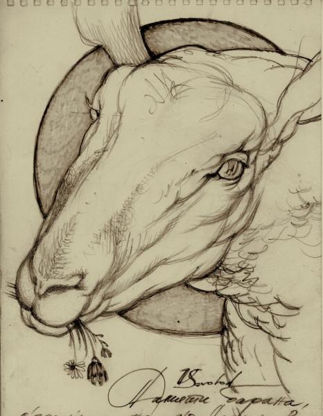2008book2-261