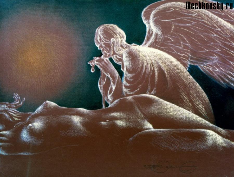 2015-demonstr-1081