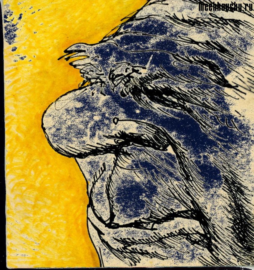 2015-demonstr-1118