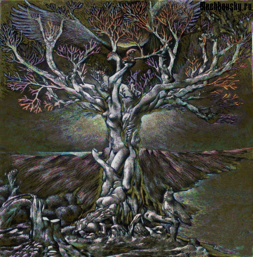 2015-demonstr-1137