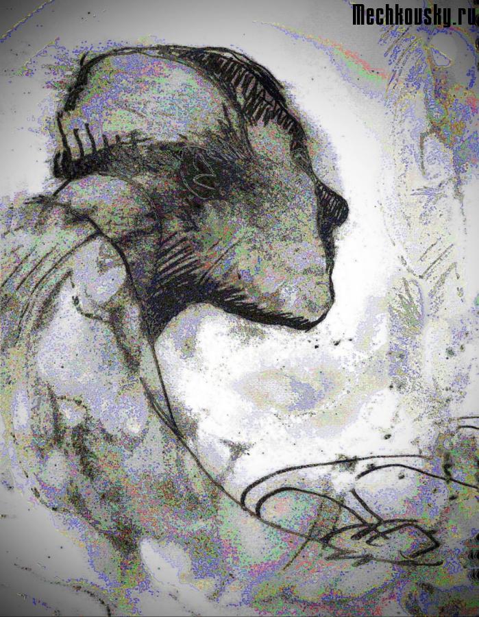 2015-demonstr-1214