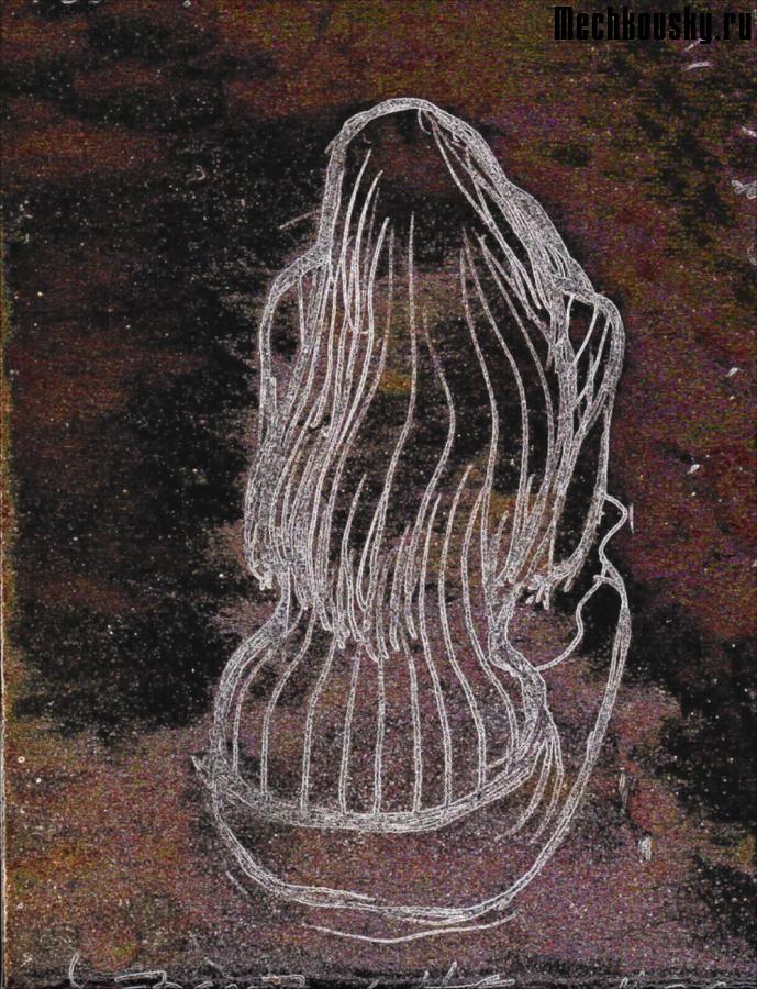 2015-demonstr-2617